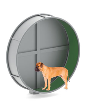 פיברן, מתקנים לכלבים